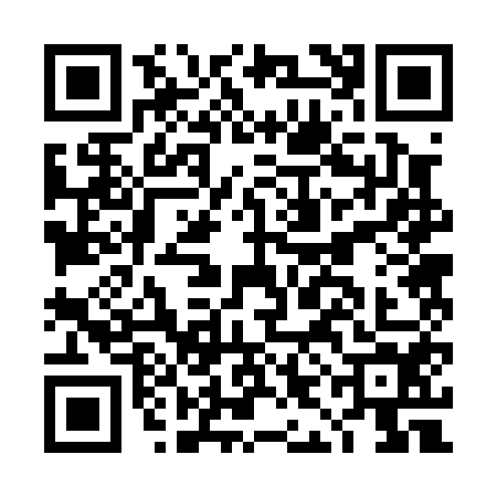 QR code for DIB0545