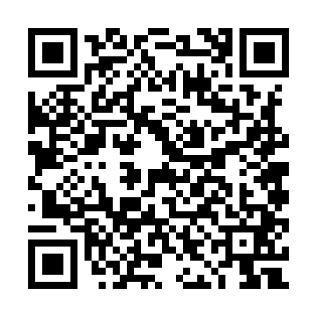 QR code for DIF9411