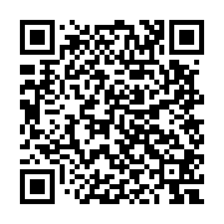 QR code for DIG500