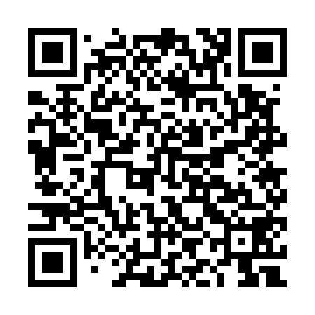 QR code for DIG558