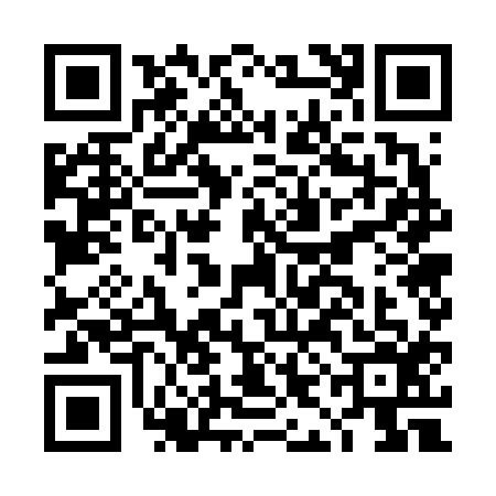 QR code for DIG6161
