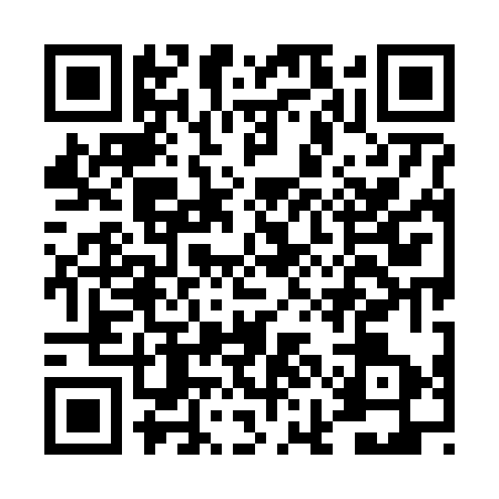QR code for DIM6739