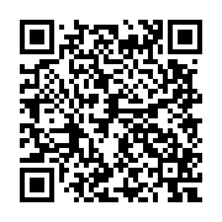 QR code for DIP505