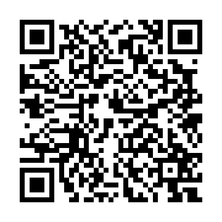 QR code for DIS0273