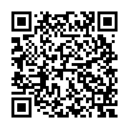 QR code for DIS384
