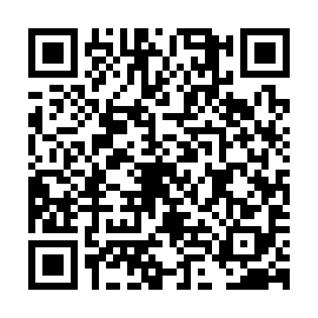 QR code for DLE3984