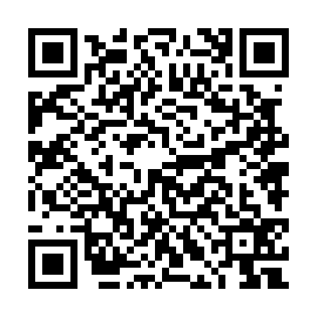 QR code for DLN0369