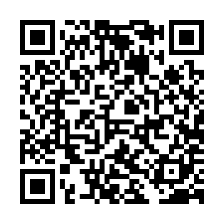 QR code for DLT381
