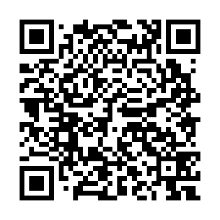 QR code for DLX379