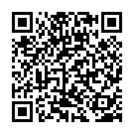 QR code for DMN039
