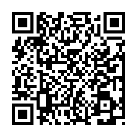 QR code for DMV1767