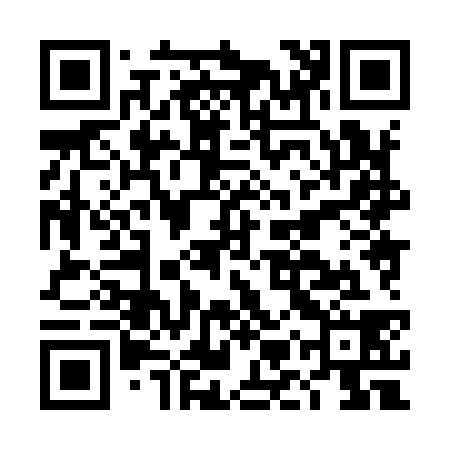QR code for DMX938