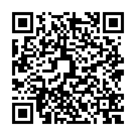 QR code for DMY7293