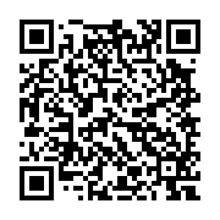 QR code for DMZ096