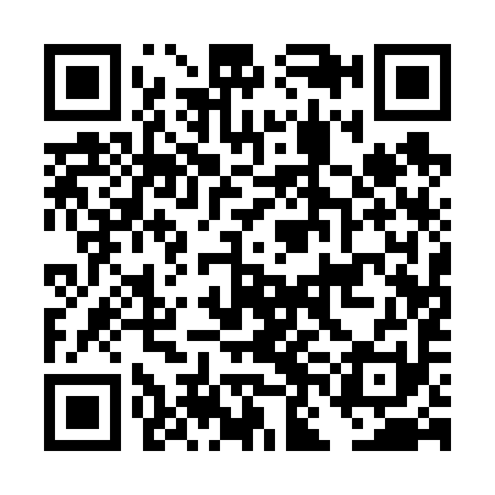 QR code for DNA691