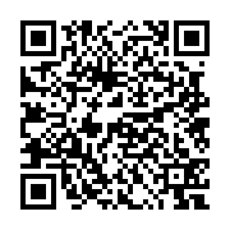 QR code for DPB0334