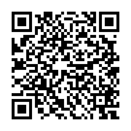 QR code for DPC0493