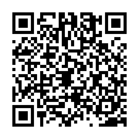 QR code for DPI9650