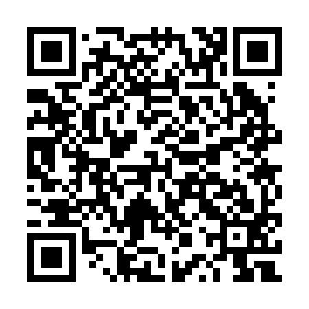 QR code for DPS293