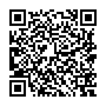 QR code for DPY8595