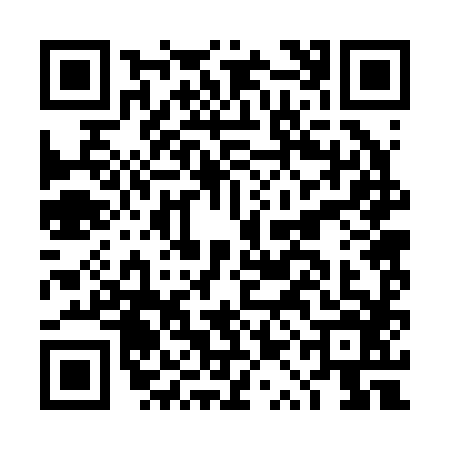 QR code for DQB2866