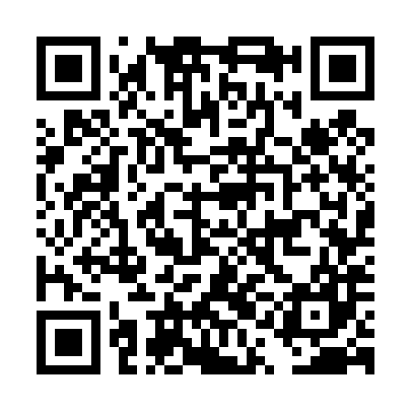 QR code for DQG487