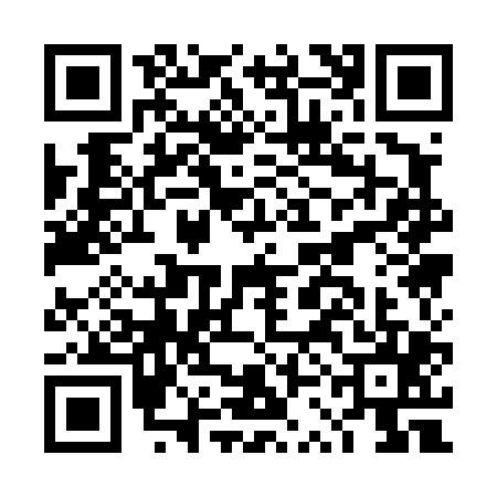 QR code for DSA4050