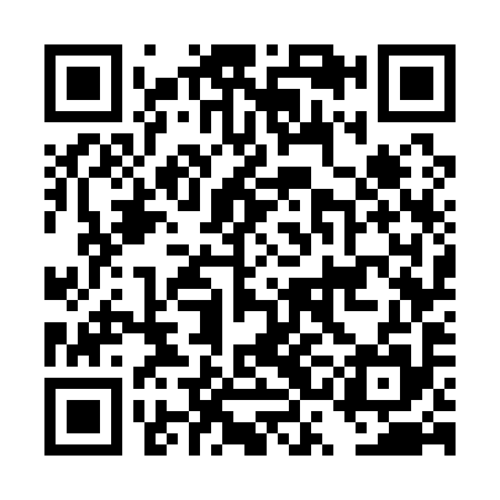 QR code for DSG195
