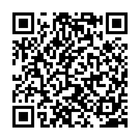 QR code for DSI815