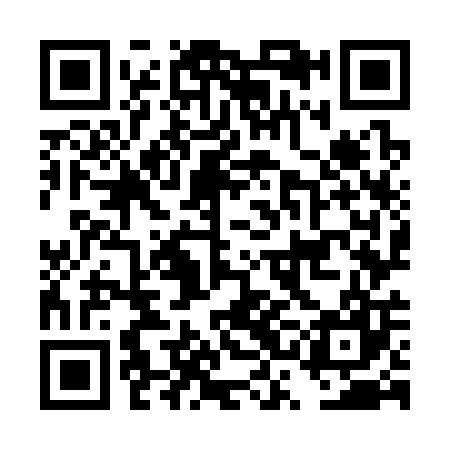 QR code for DSO307