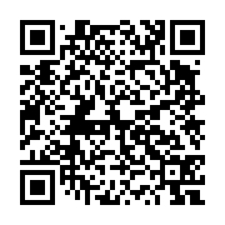 QR code for DSO434
