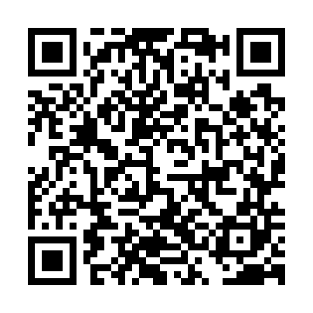 QR code for DSO740