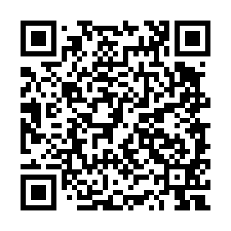 QR code for DST491
