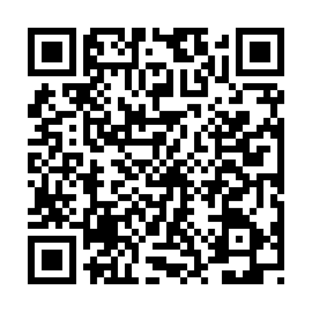 QR code for DSZ8753