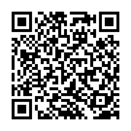 QR code for DTI228