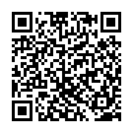 QR code for DTU294