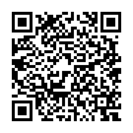 QR code for DUZ4161