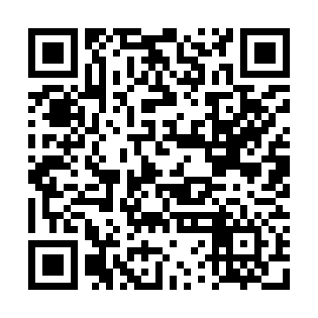 QR code for DVI976