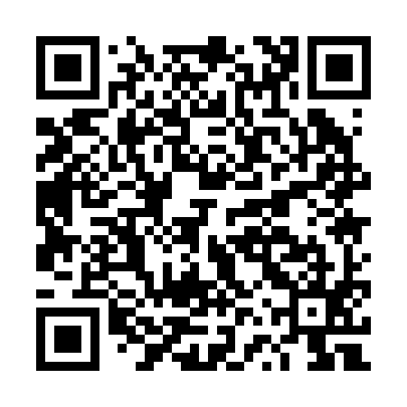QR code for DVQ295