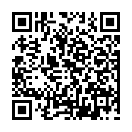 QR code for DVS2997
