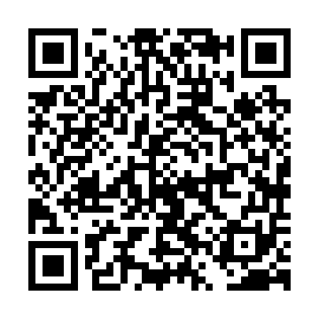QR code for DVX251