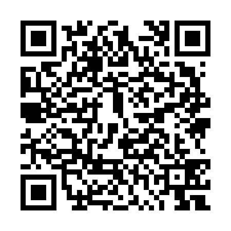 QR code for DWI6393