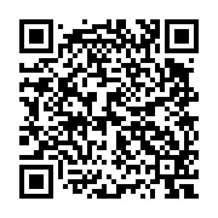 QR code for DWS493