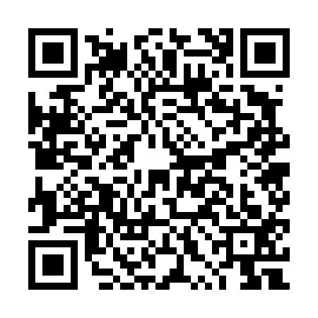 QR code for DXG4133