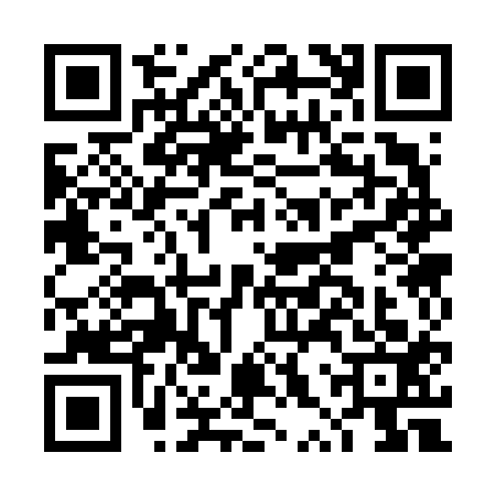 QR code for DXS6133