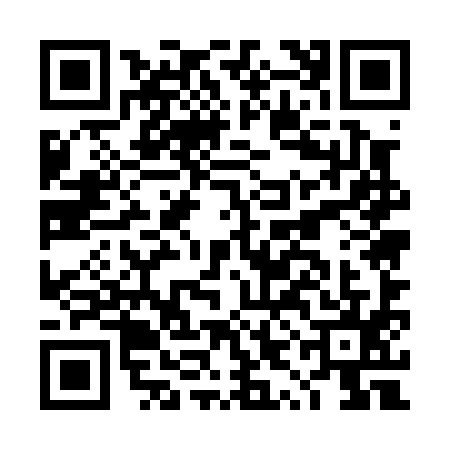QR code for DYE0955