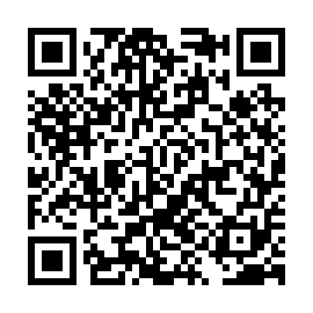 QR code for DYG251