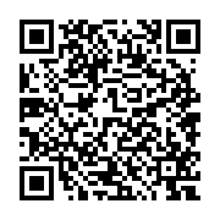QR code for DYN2178