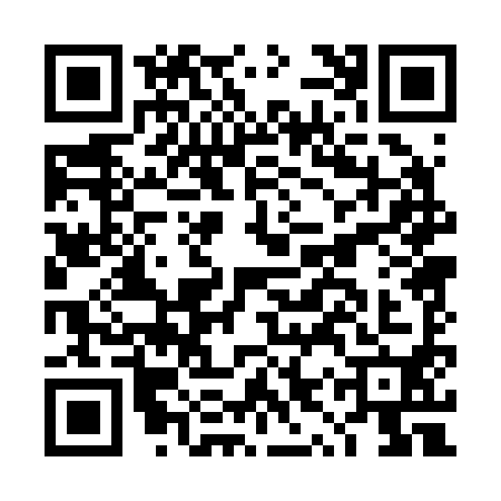 QR code for DYP2908