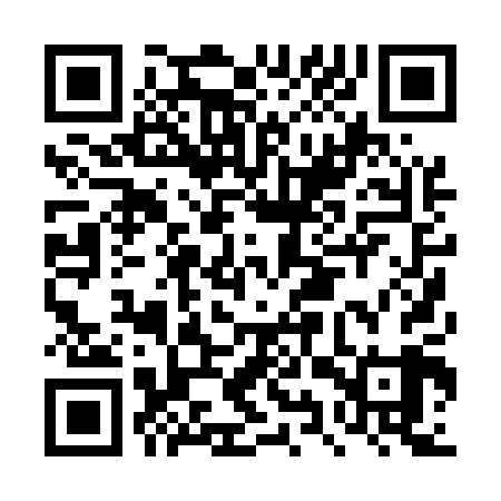 QR code for DYP509